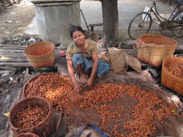 Donna che prepara il concentrato di pomodoro sulle strade di Meiktila