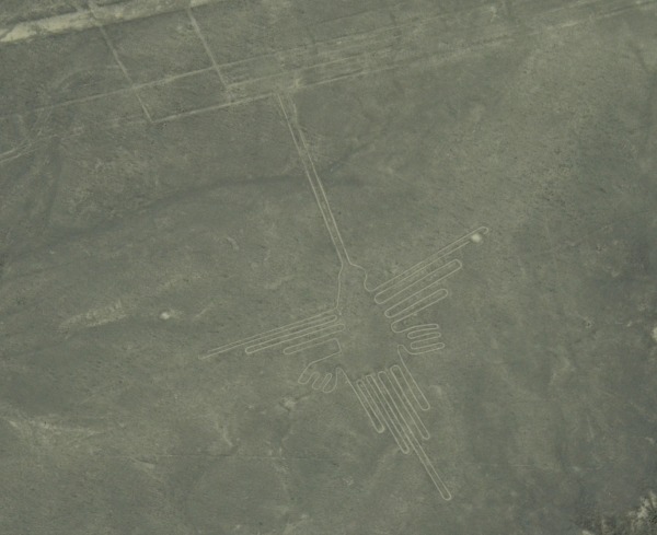 Linee di Nazca: il Colibrì