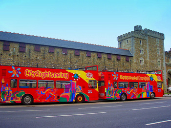 Sightseeing Autobus