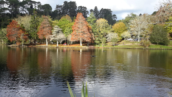 McLaren Falls Park a Auckland