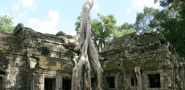 Il famoso Ta Prohm