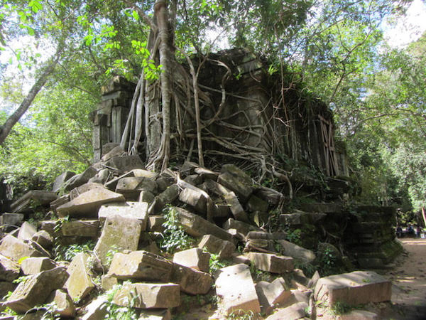 Anche Beang Mealea è inghiottita dalla vegetazione 