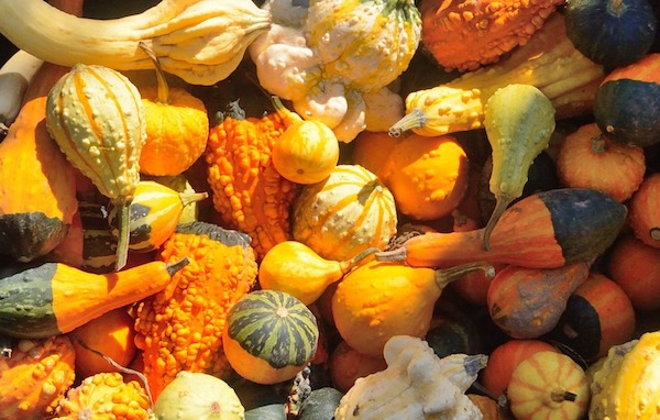 L’autunno in cucina