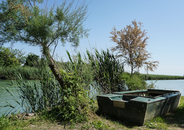 La laguna e la natura di Caorle 