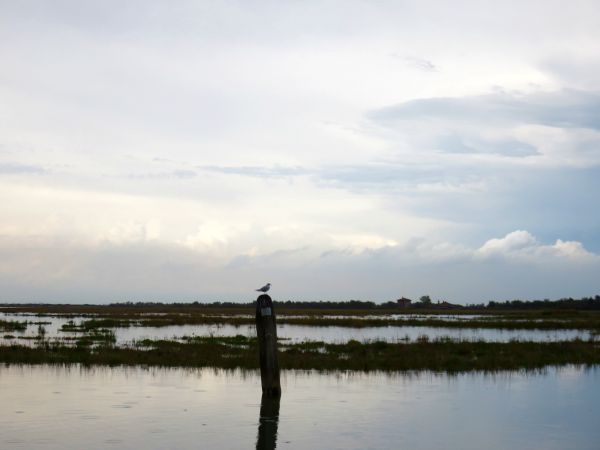 Solcando la laguna veneta