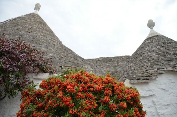 I trulli ad Alberobello 