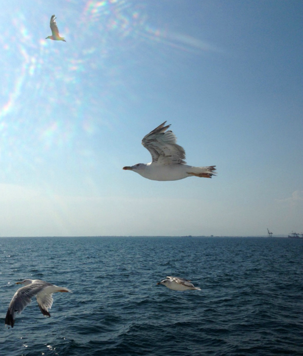 Sul traghetto da Salonicco verso le spiagge