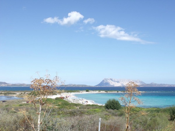 La spiaggia de l’Isuledda a San Teodoro