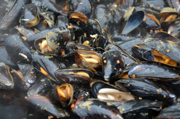 Le cozze di Lyckorna