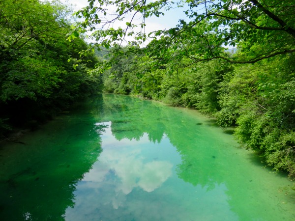 Le verdi acque del torrente Cosa