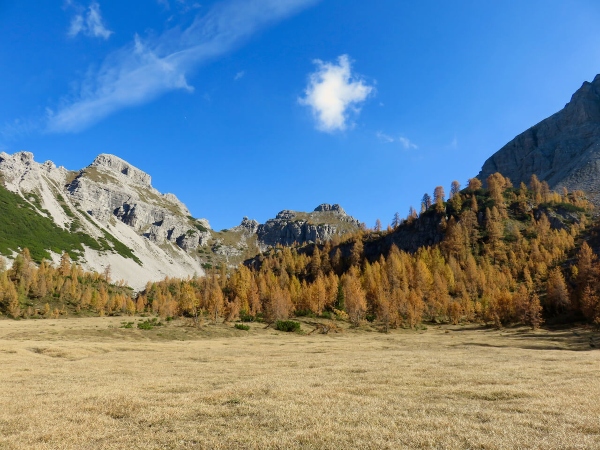 Camporosso, verso Val di Brica