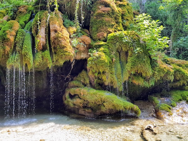 L’Oasi dei Capelli di Venere a Casaletto Spartano in Cilento