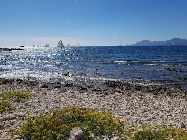 Una delle spiagge di Isola Santa Margherita 