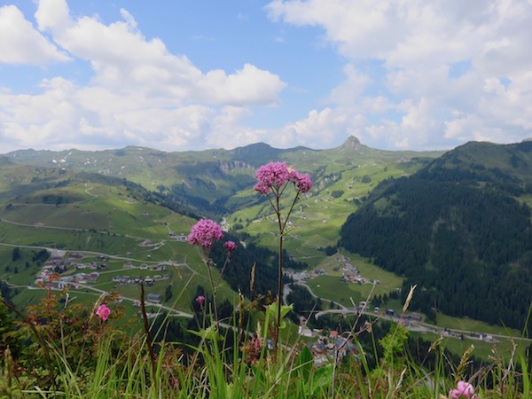 Biosfera del Grosses Walsertal 