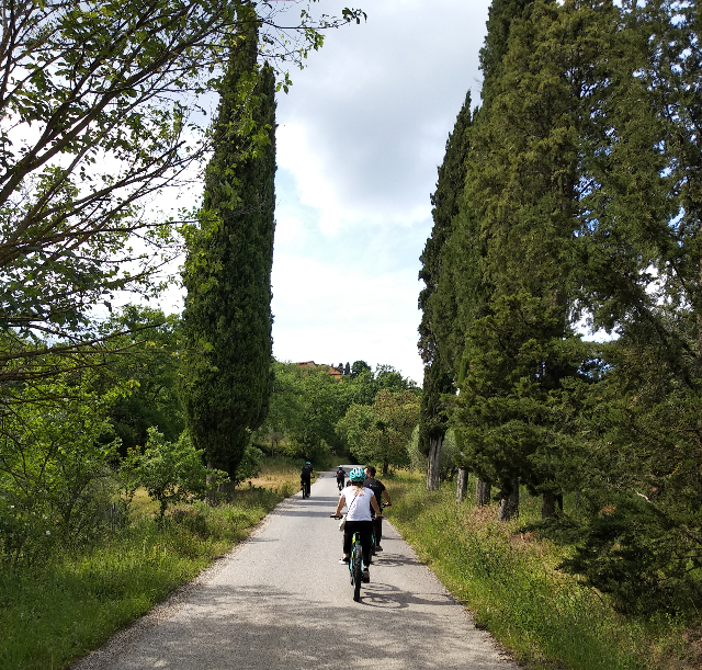 In bicicletta tra le colline del Chianti in Toscana