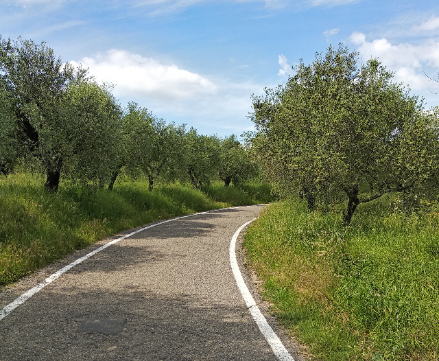 Le strade tranquille della campagna Toscana