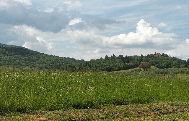 Le colline toscane, intorno al Norcenni Girasole Village