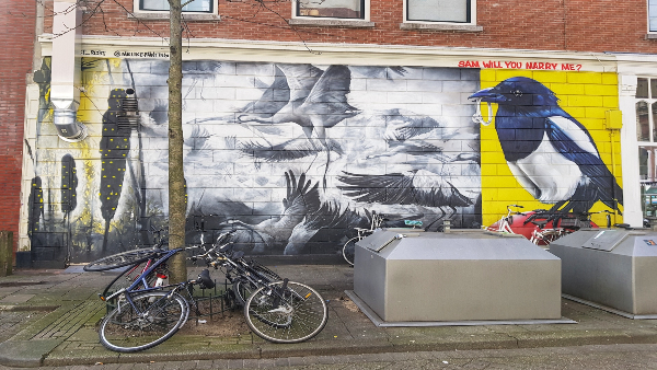 Street Art in Rotterdam