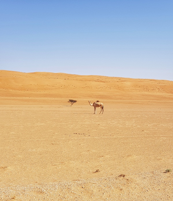 Il silenzio del deserto in Oman