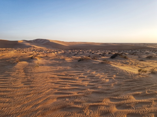 Il deserto Wahiba Sands in Oman