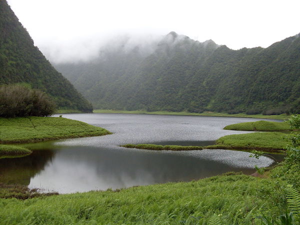 La natura impressionante all’Isola della Réunion
