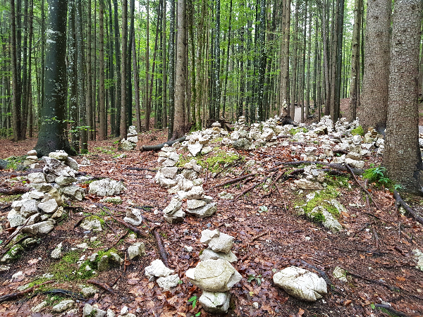A Seefeld per fare Forest Bathing