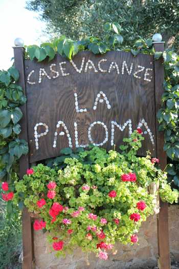 La Paloma