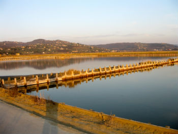 Saline di Sicciole, luce del tramonto