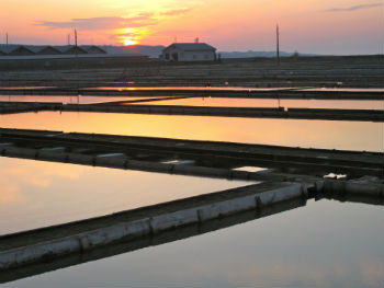  Saline di Sicciole al tramonto 