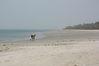 spiaggia di Bruce