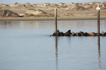 la baia di Morro Bay 