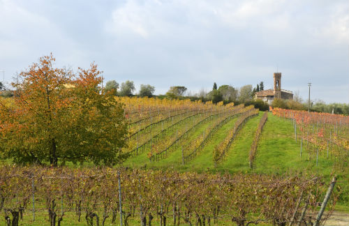 Il paesaggio toscano e i vigneti 