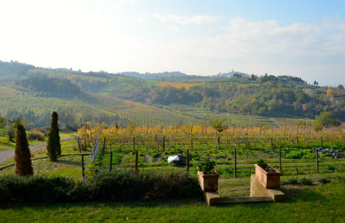  Il paesaggio visto dalla Tenuta di Poggio 