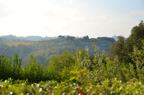 Il paesaggio visto dalla Tenuta di Poggio 