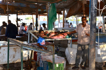 Mercato del pesce