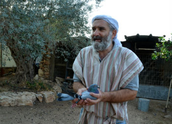 Menachem e uno dei suoi adorati piccioni viaggiatori