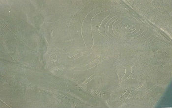 Le linee di Nazca, la scimmia 