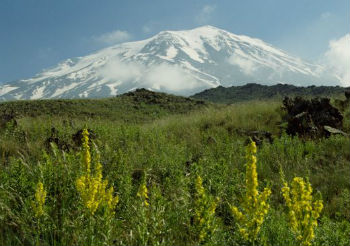 Foto concessa da InfoArmenia