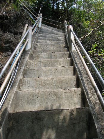 Si nota l'altezza degli scalini e quanto è ripida?  