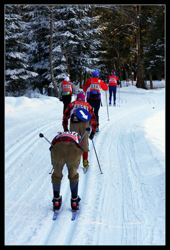 Sci di Fondo in Val di Fiemme