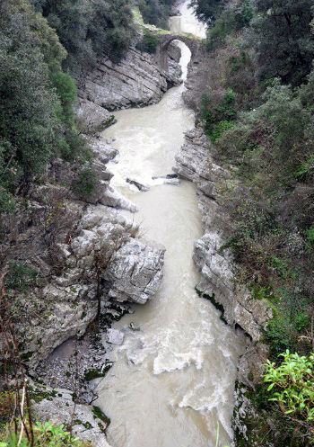 Sorgente Presso il Parco Naturale del Cilento