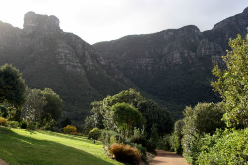 Il giardino botanico di Kirstenbosch