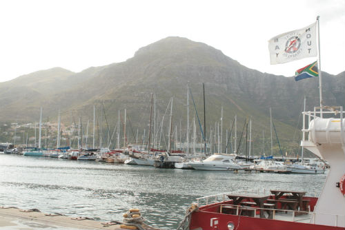  Il porto di Hout Bay