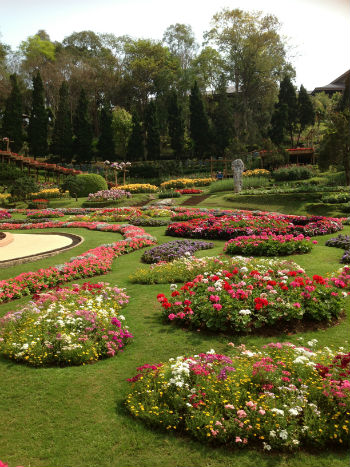 Il giardino