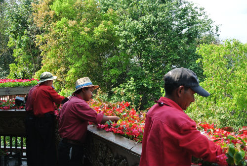 Cura dei dettagli… lavoratrice nel giardino