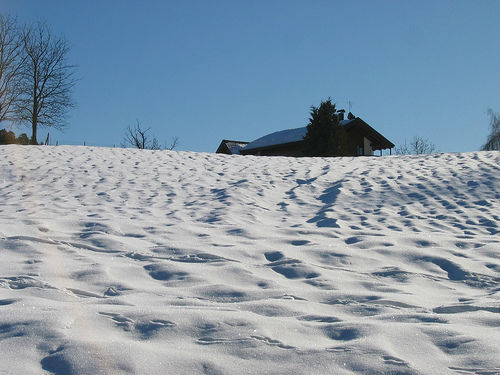 Neve in Trentino