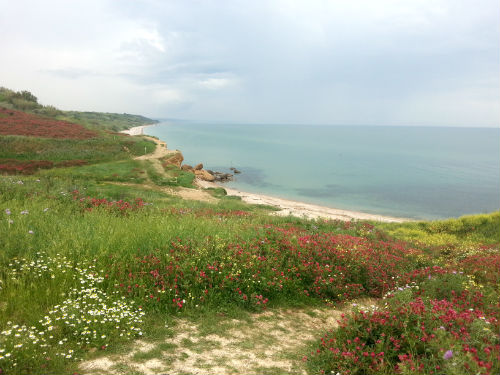 Riserva Naturale di Punta Aderci 