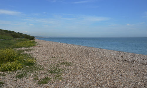 La spiaggia deserta