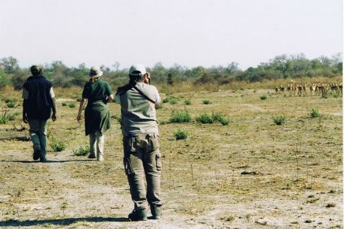 Walking Safari