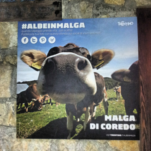 Il manifesto di #AlbeinMalga